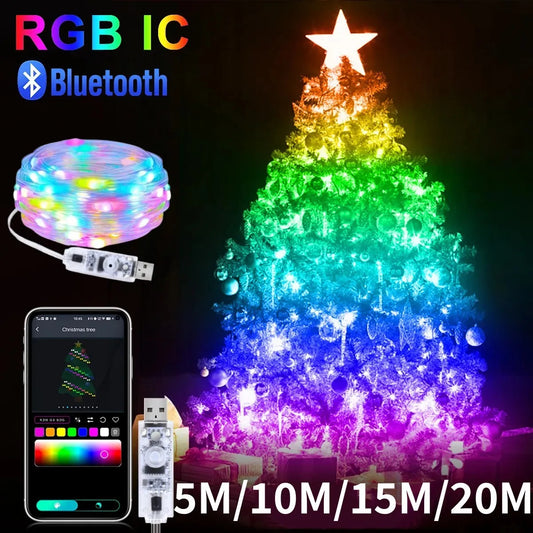 RGBIC Bluetooth RGB Christmas String Lights