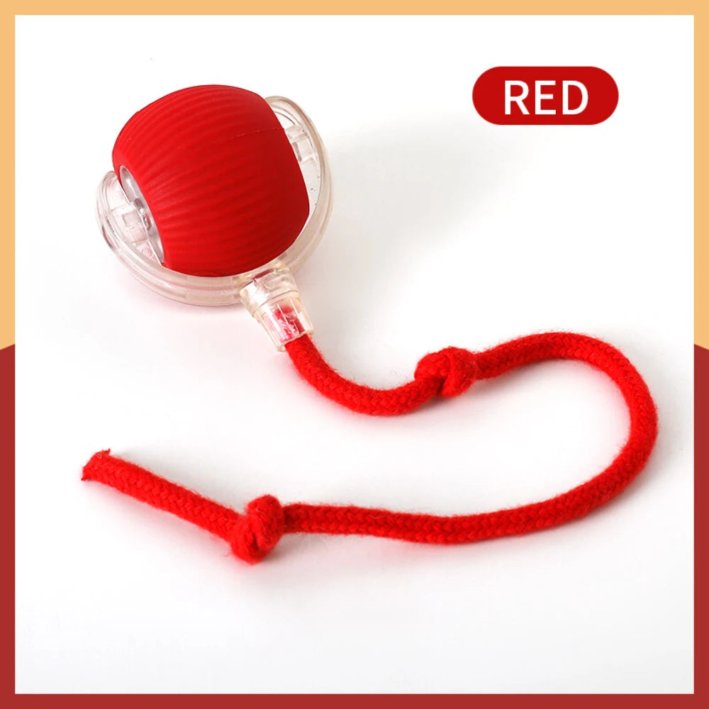 Automatic Rolling Interactive Ball Toy for Cats