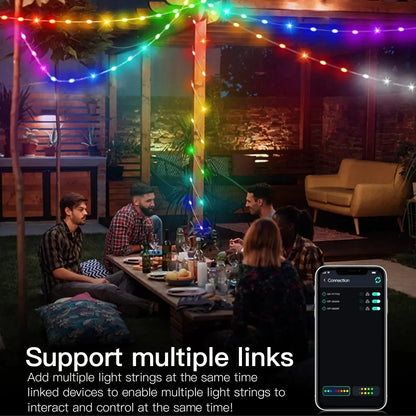 RGBIC Bluetooth RGB Christmas String Lights