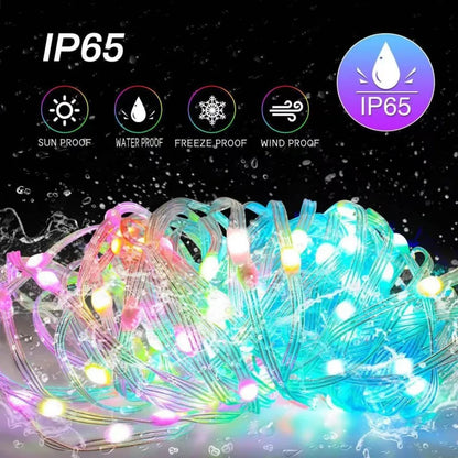 RGBIC Bluetooth RGB Christmas String Lights
