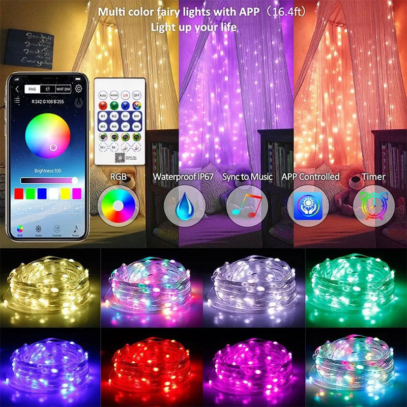RGBIC Bluetooth RGB Christmas String Lights