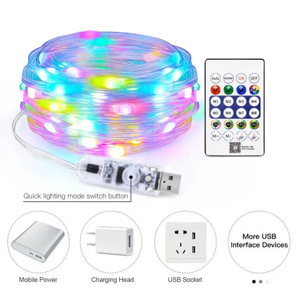 RGBIC Bluetooth RGB Christmas String Lights
