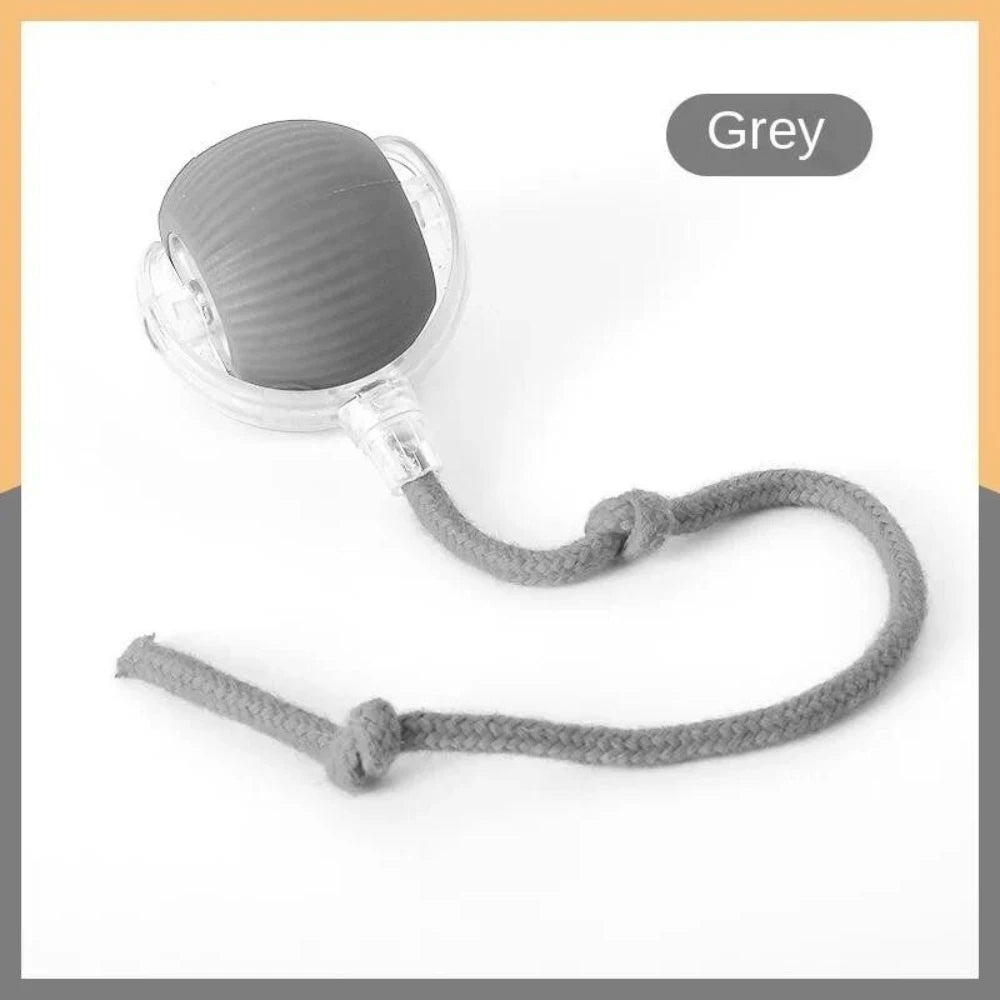 Automatic Rolling Interactive Ball Toy for Cats