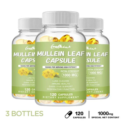 Mullein Leaf - Clear Lungs and Detoxify, Breathe Healthily, Relieve Headaches Supplement