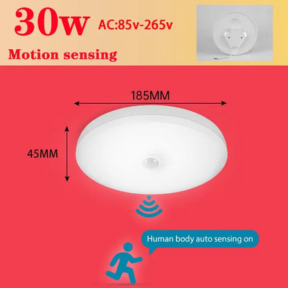 Motion Sensor Ceiling Light Modern Smart Sensor LED Lamp Human Infrared Sensing Lamp Indoor for Garage Corridor Lighting Fixture