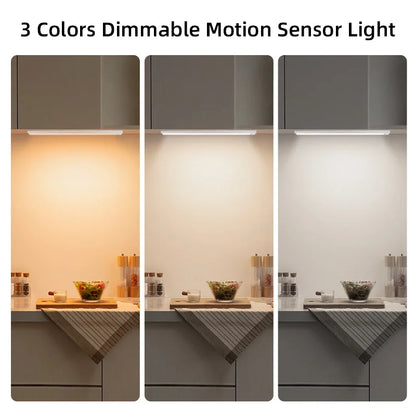 Motion Sensor Cabinet Lights Dimmable LED Night Light Wireless USB Rechargeable Led Tube Light for Wardrobe 3Colors Night Lamp