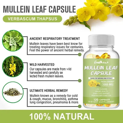 Mullein Leaf - Clear Lungs and Detoxify, Breathe Healthily, Relieve Headaches Supplement