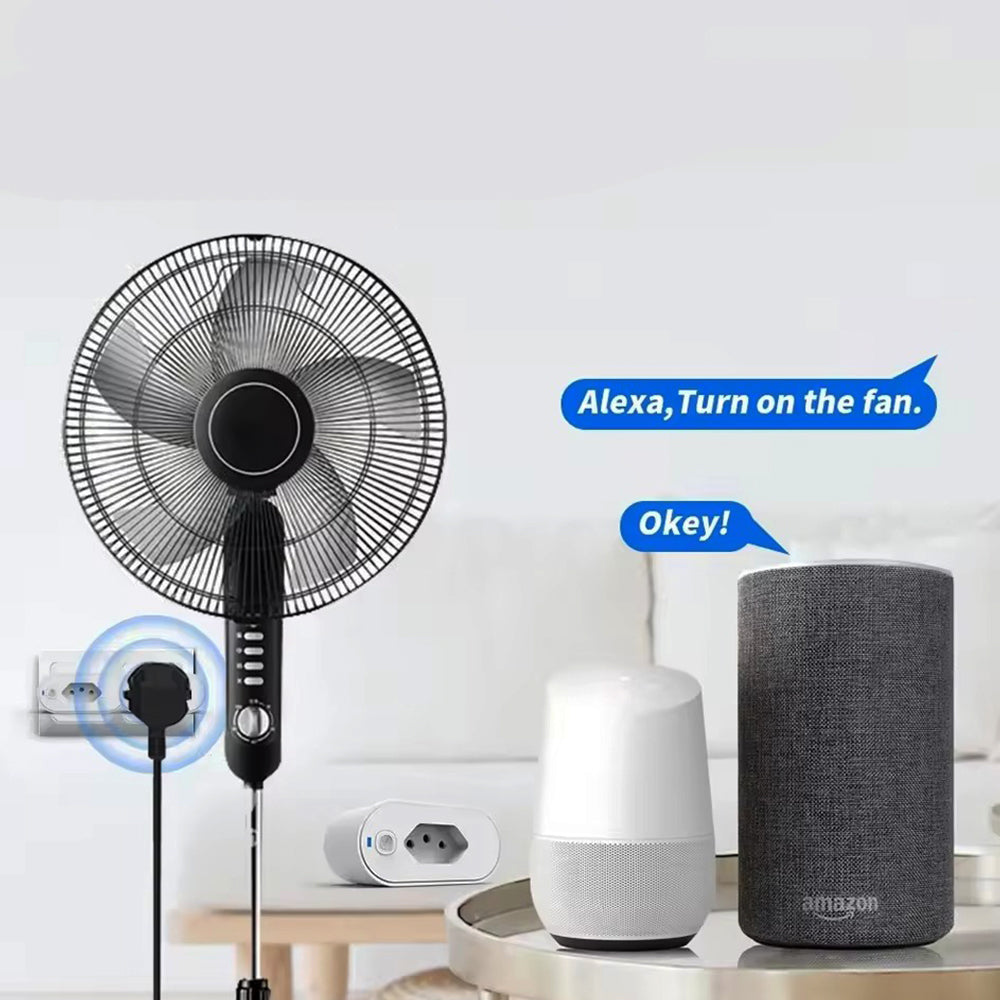 Smart WiFi ZigBee Plug 16A/20A with Power Monitor And Voice Control