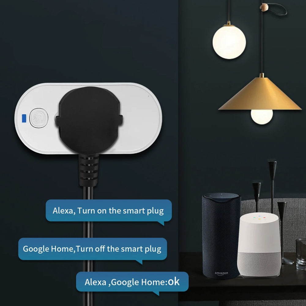 Smart WiFi ZigBee Plug 16A/20A with Power Monitor And Voice Control